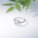 Product Importer Gallery 02 · 8d6ac2990b