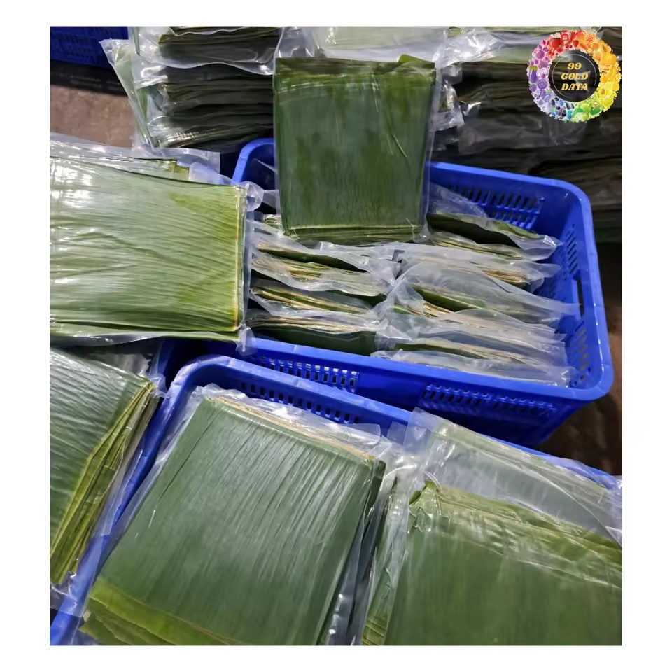 Product Importer Gallery 01 · a10f9433cb