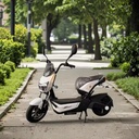 Product Importer Gallery 03 · a3505048bd