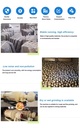Product Importer Gallery 04 · e63e1a73e7