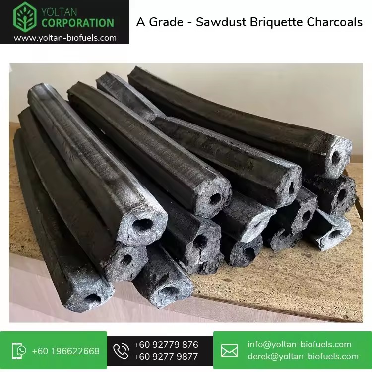 Product Importer Gallery 03 · d785eea47b