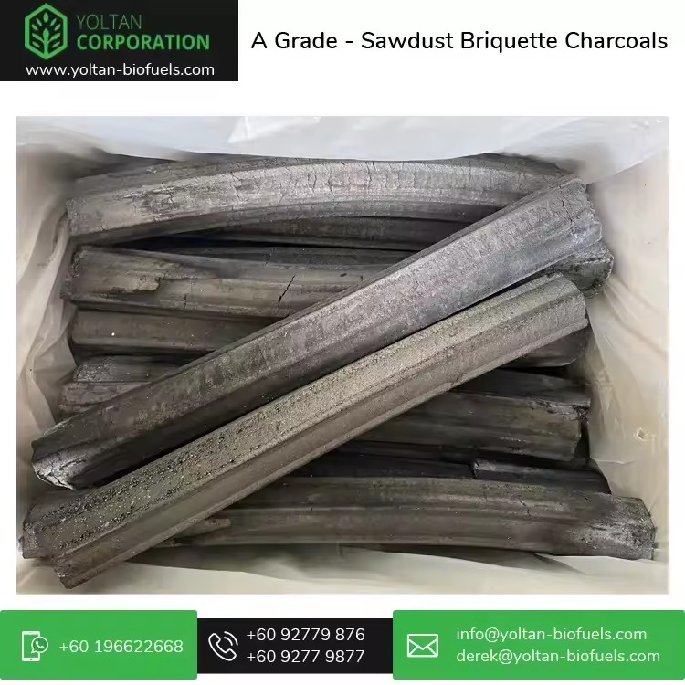 Product Importer Gallery 01 · 205ed913b7