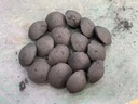 Product Importer Gallery 04 · e4583bda10