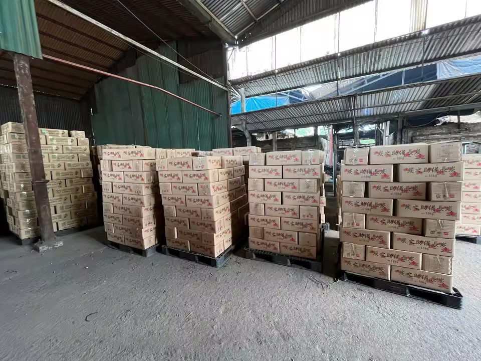 Product Importer Gallery 05 · 0c43555513