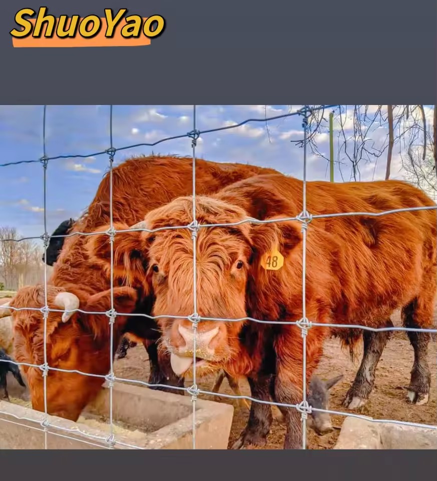 Product Importer Gallery 04 · 3a4c6e1d9c