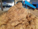 Product Importer Gallery 04 · 891ecdc3bc