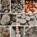 Product Importer Gallery 02 · f36499613b
