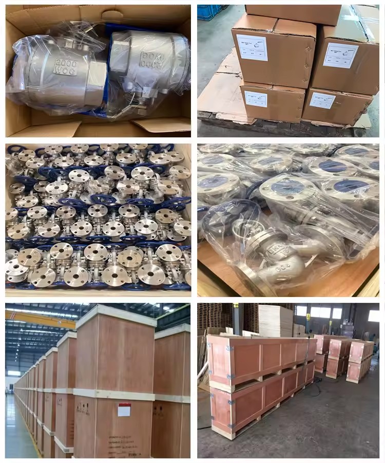 Product Importer Gallery 05 · ed5597b338