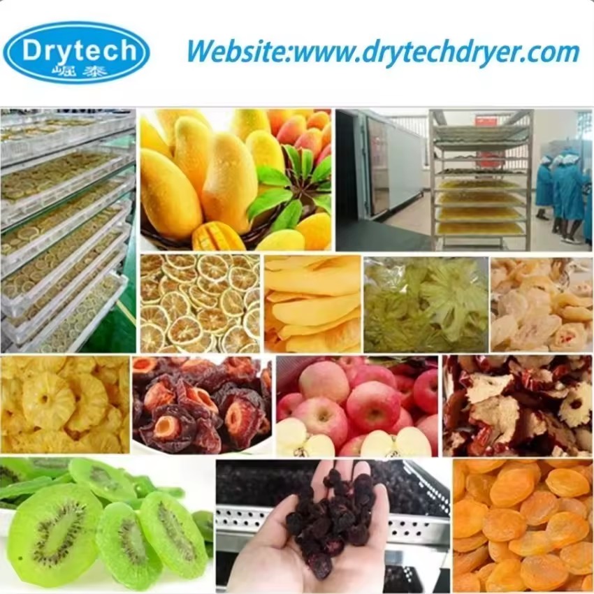 Product Importer Gallery 05 · d7d58462de