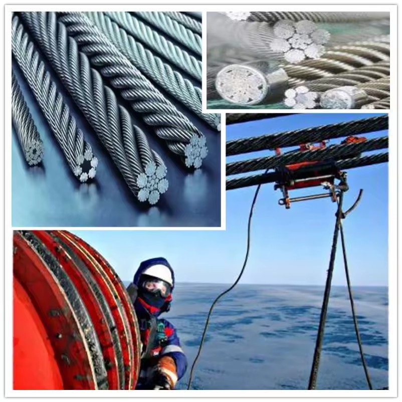 Product Importer Gallery 04 · ec83411074