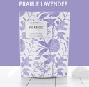 Product Importer Gallery 03 · 85f0960669