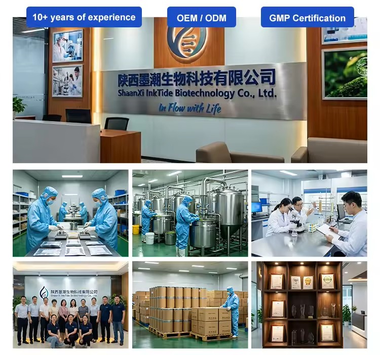 Product Importer Gallery 04 · 905cb7101e