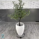 Product Importer Gallery 05 · 74f84fc6b7