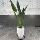 Product Importer Gallery 04 · 654414a466