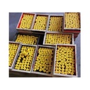 Product Importer Gallery 04 · deddeb1c66
