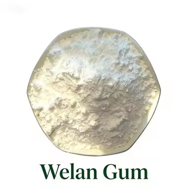 Product Importer Gallery 01 · 2950952756