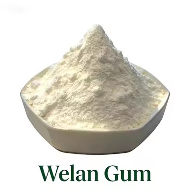 Product Importer Gallery 03 · 20710b9028