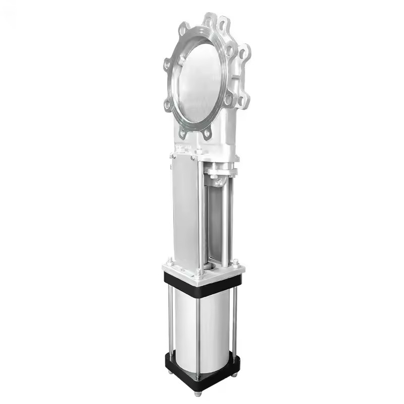 Product Importer Gallery 02 · 8462b85305