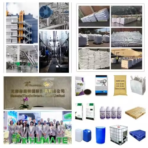 Product Importer Gallery 05 · 4dc63f8818