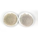 Product Importer Gallery 01 · 296e900c8c