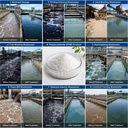 Product Importer Gallery 05 · 7e081f8493