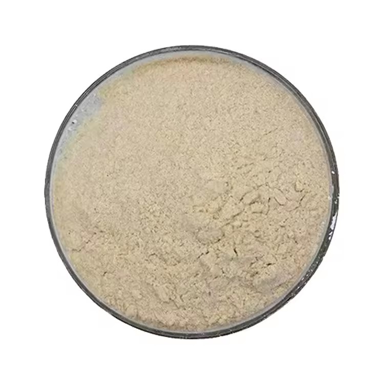 Product Importer Gallery 02 · c61c44bbdf