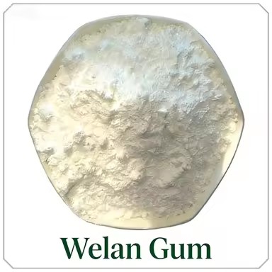 Product Importer Gallery 03 · a8b383d1e0