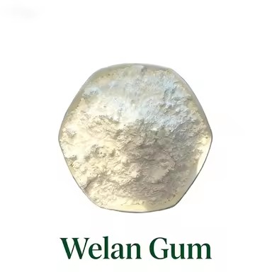 Product Importer Gallery 02 · 4c5430b2f2