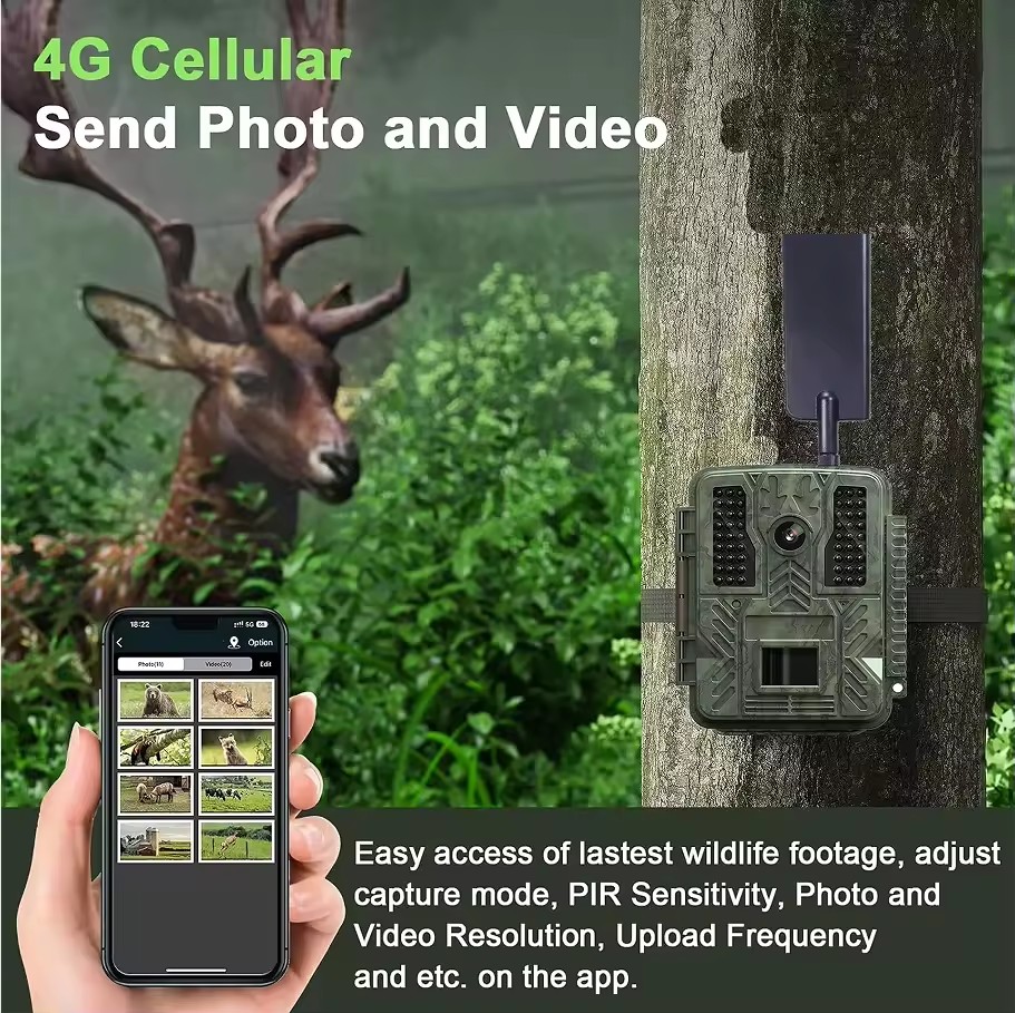 Product Importer Gallery 02 · e9c3d97e1e