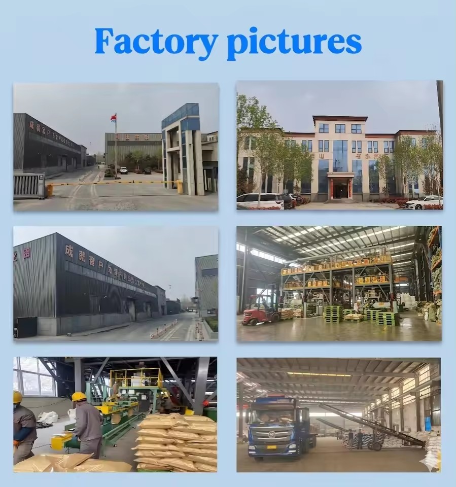Product Importer Gallery 03 · 1dc2f4d1cd