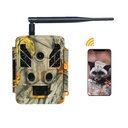 Product Importer Gallery 01 · 1586591b9a