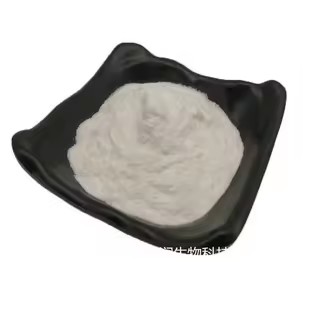 Product Importer Gallery 01 · b8664073d5