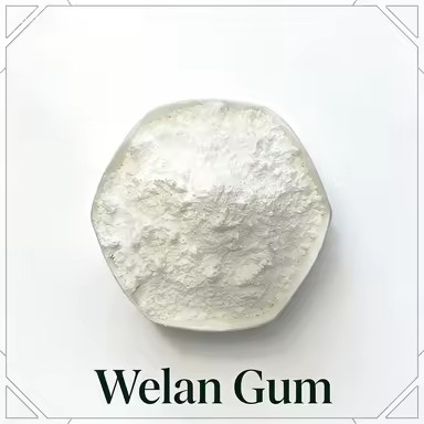 Product Importer Gallery 01 · 47829c8ad5