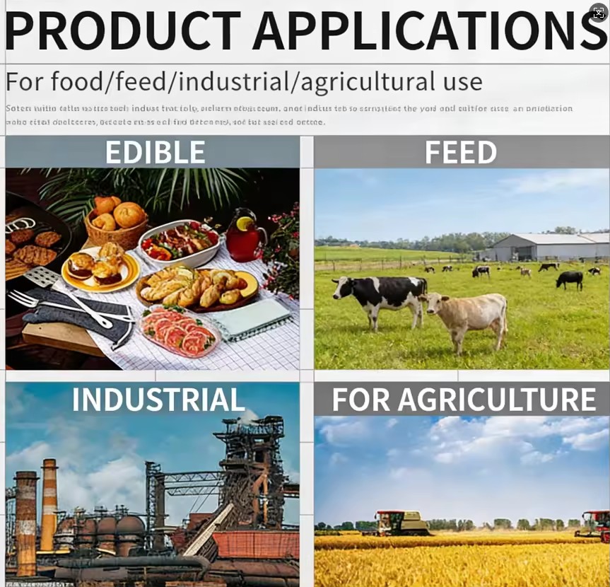 Product Importer Gallery 04 · 85f5cf2c1d