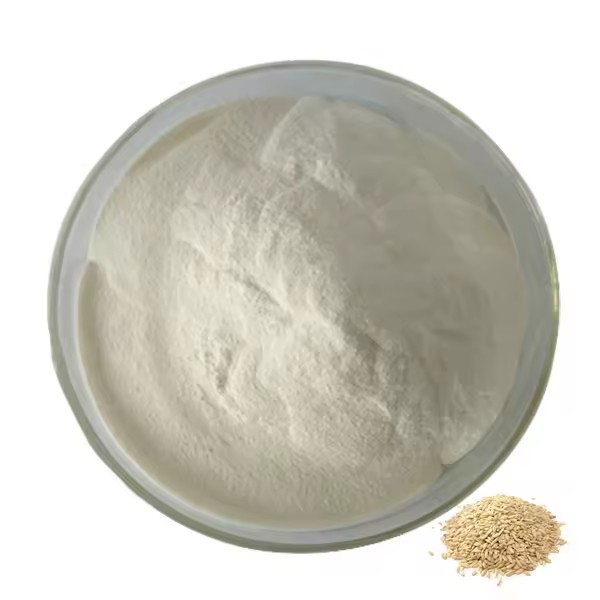 Product Importer Gallery 05 · fe4b2c69fc