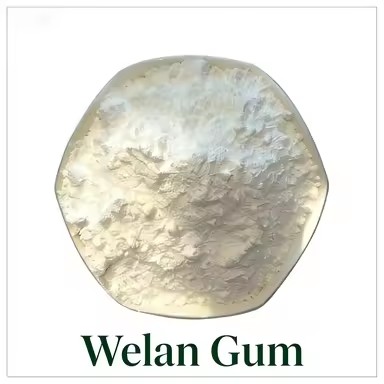 Product Importer Gallery 02 · d2866c21f7