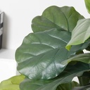 Product Importer Gallery 02 · d0f6db5630