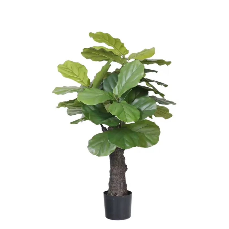 Product Importer Gallery 04 · a6591d5f06