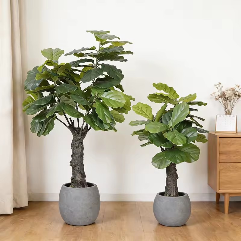 Product Importer Gallery 01 · 5780e214fc