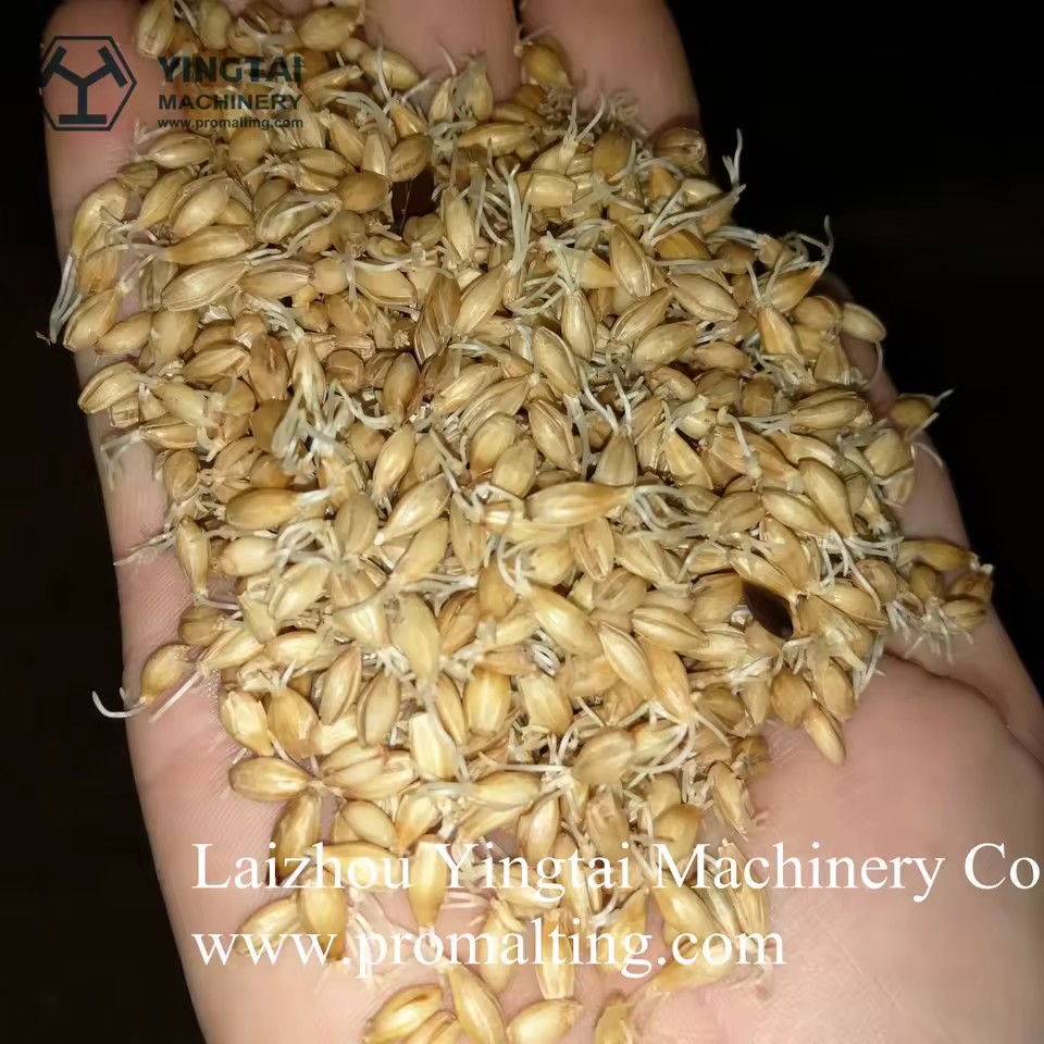 Product Importer Gallery 01 · 32b2f4f443