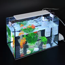 Product Importer Gallery 04 · e2b6988ec5