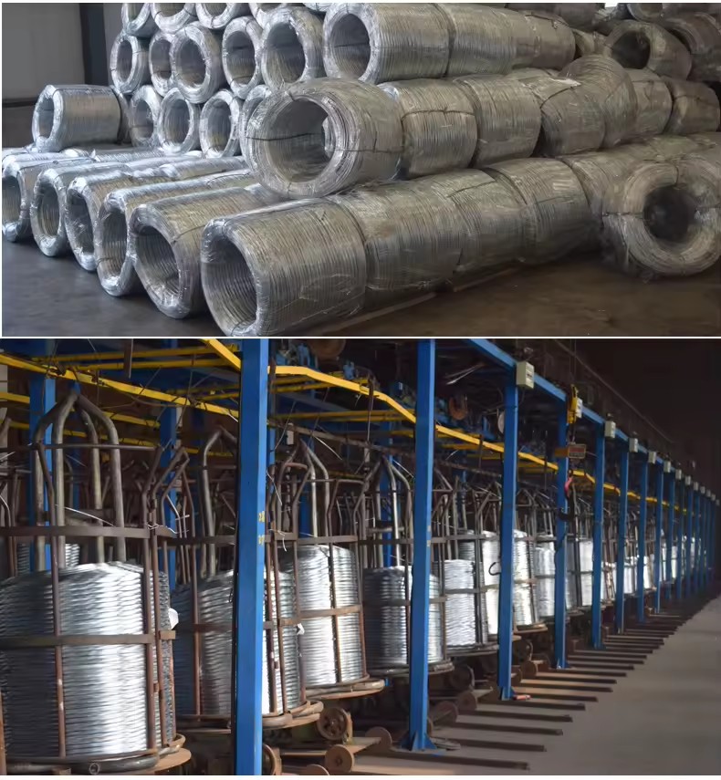 Product Importer Gallery 05 · 12edef1e6a