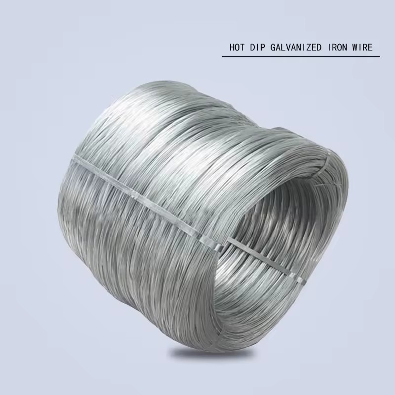 Product Importer Gallery 03 · 6979ab446c