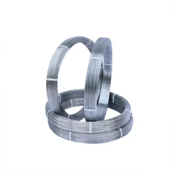 Product Importer Gallery 01 · 51b4ee84e3