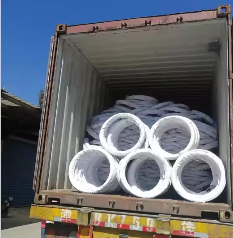 Product Importer Gallery 05 · 567d92b28a