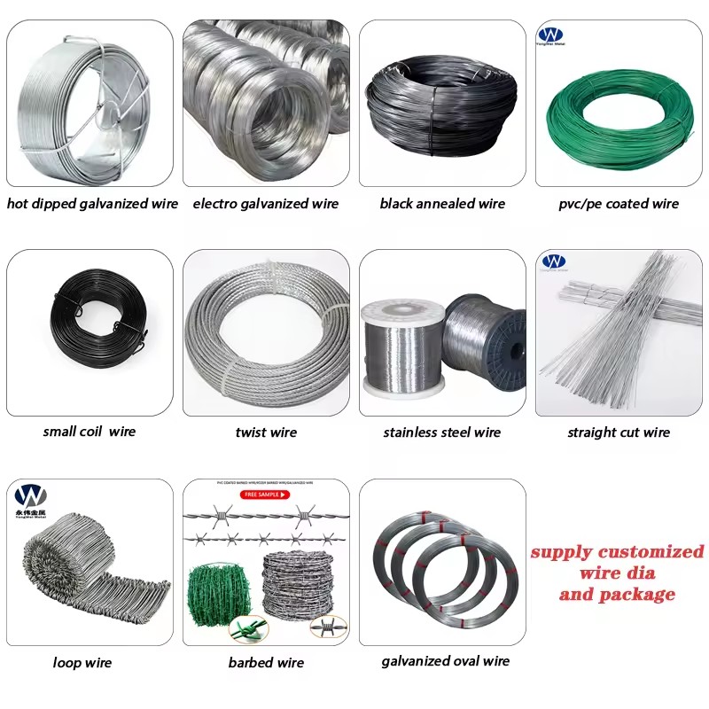 Product Importer Gallery 04 · 8bb947537b