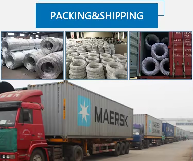 Product Importer Gallery 05 · 72db3d4898