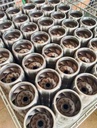 Product Importer Gallery 04 · 9c0124bd8a