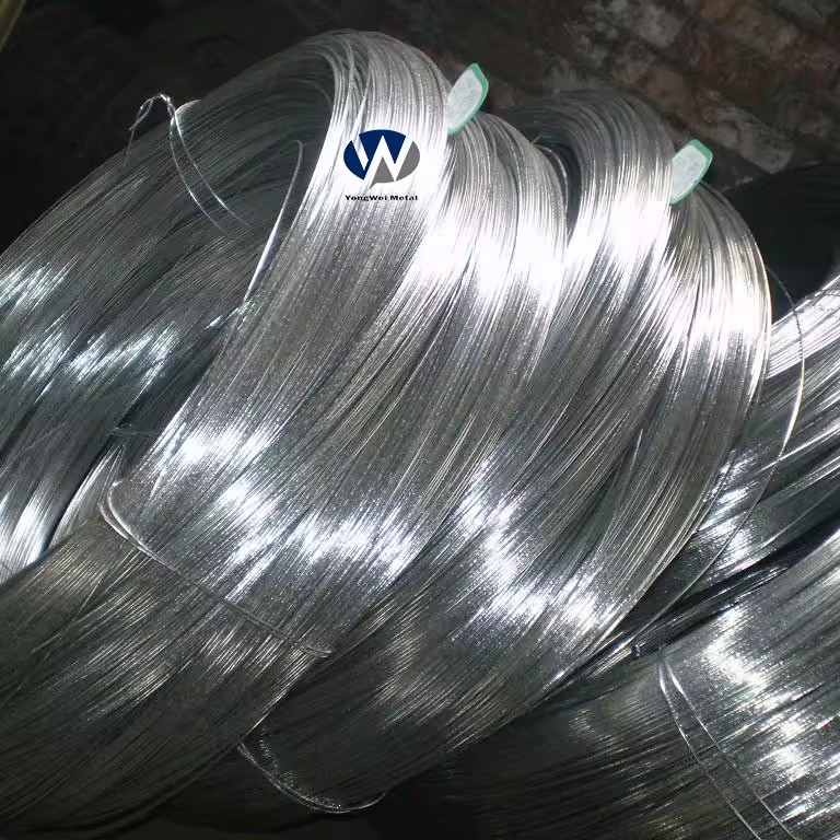 Product Importer Gallery 02 · b827702ab4