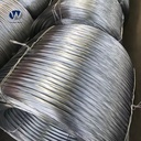 Product Importer Gallery 04 · 393fcfc39b